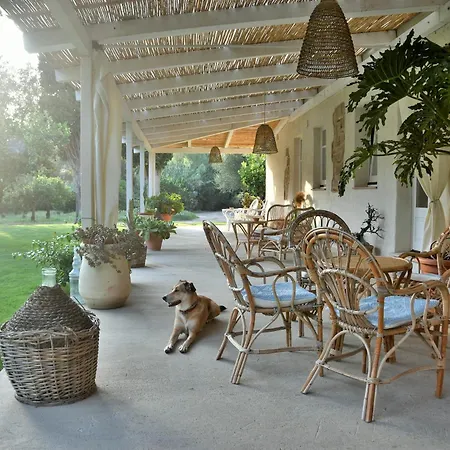 B&B Giallo Limone-2